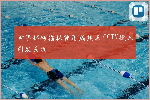世界杯转播权费用成焦点 CCTV投入引发关注
