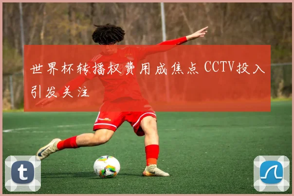 世界杯转播权费用成焦点 CCTV投入引发关注