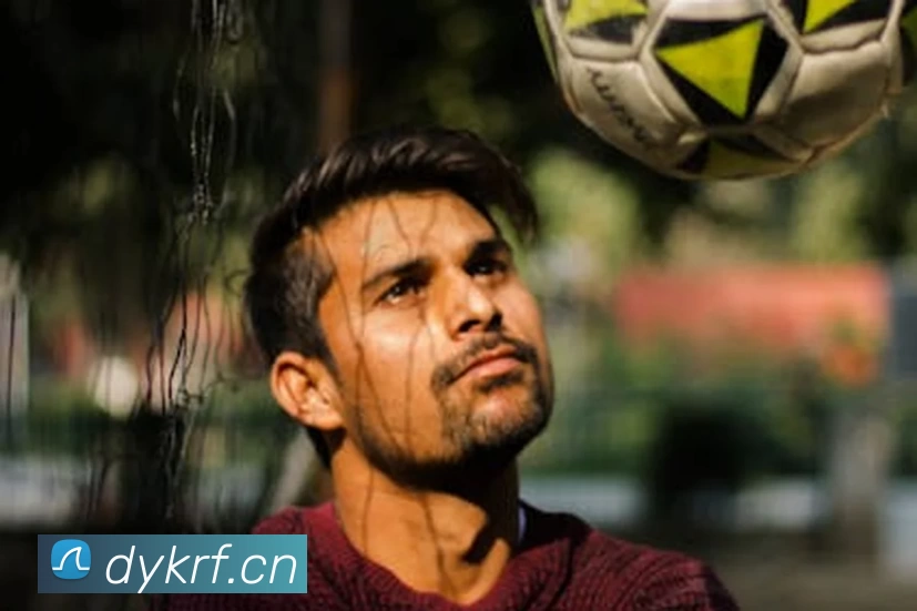 半岛在线登陆平台生态图